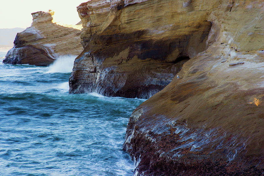 Cape Kiwanda Sandstone 072019 by Rospotte Photography Cape Kiwanda Sandstone 072019 by Rospotte Photography