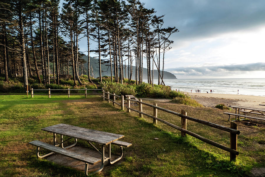 Cape Lookout State Park Photograph by David L Moore