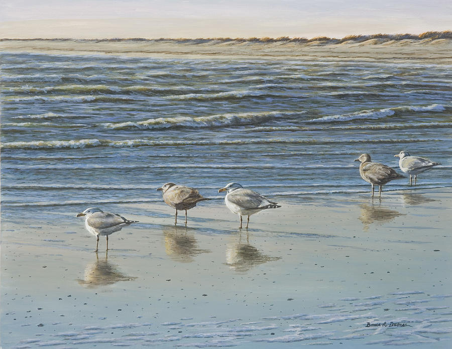 Cape May Herring Gulls Painting by Bruce Dumas
