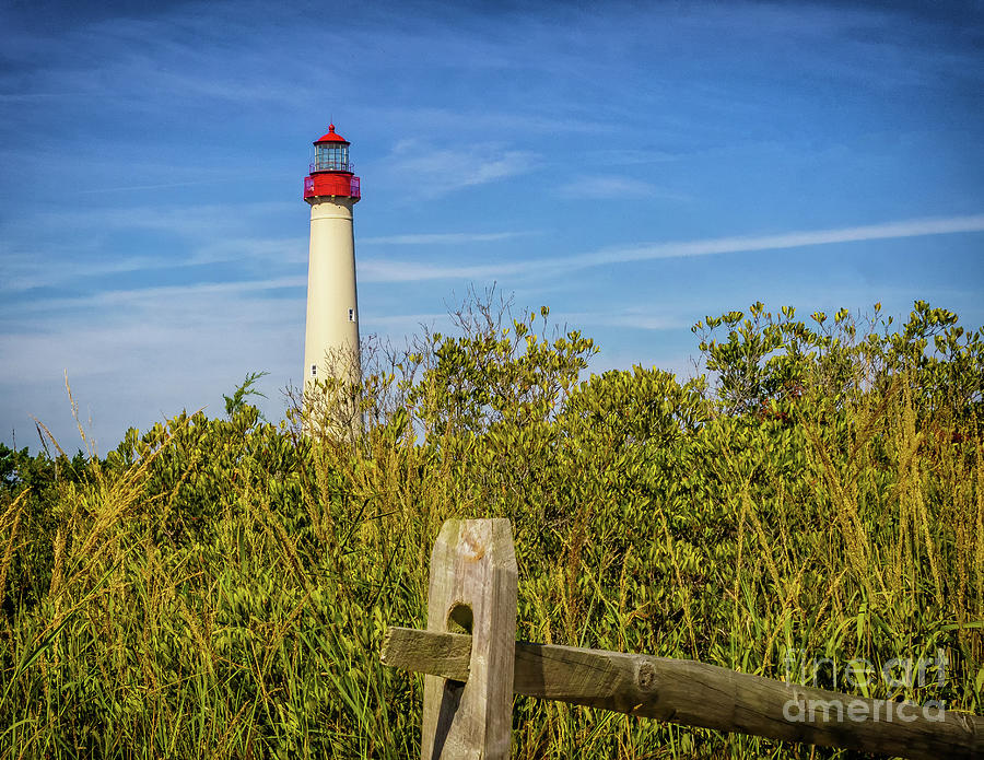 Cape May Lighthouse 2019-12 Photograph by Nick Zelinsky Jr