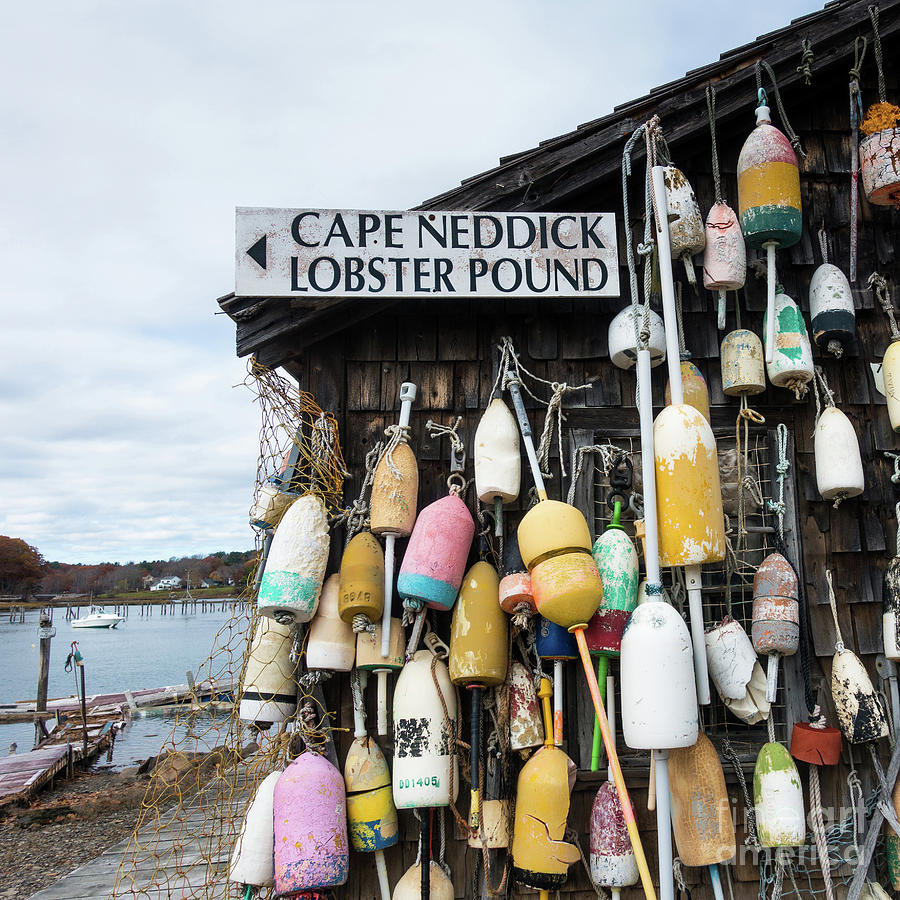 Cape Neddick Lobster Pound Square Photograph by Edward Fielding