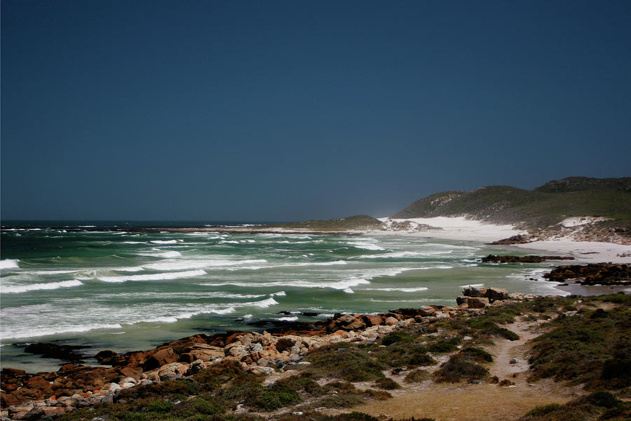 Cape Of Good Hope Photograph by Richard Collins