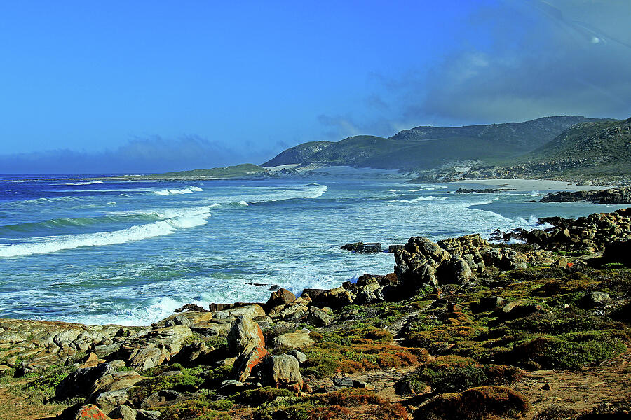 Cape of Good Hope Photograph by Richard Krebs