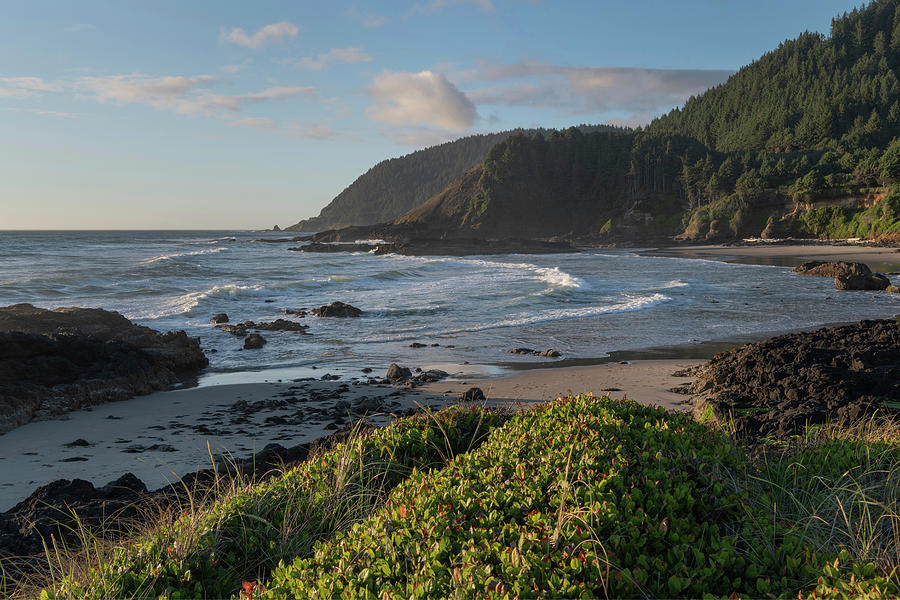 Cape Perpetua, Oregon Photograph by Alan Majchrowicz | Fine Art America