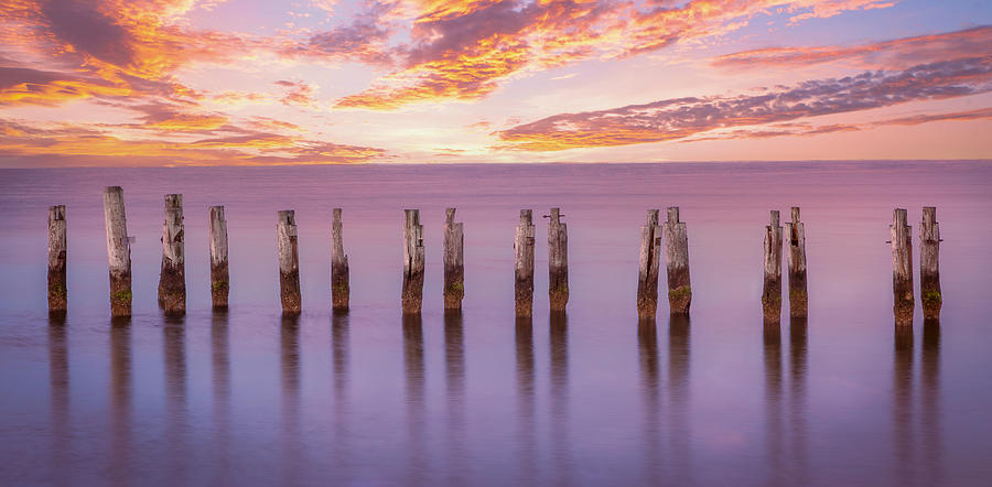 Beach Photograph - Cape Pilings In Purple by Ed Esposito