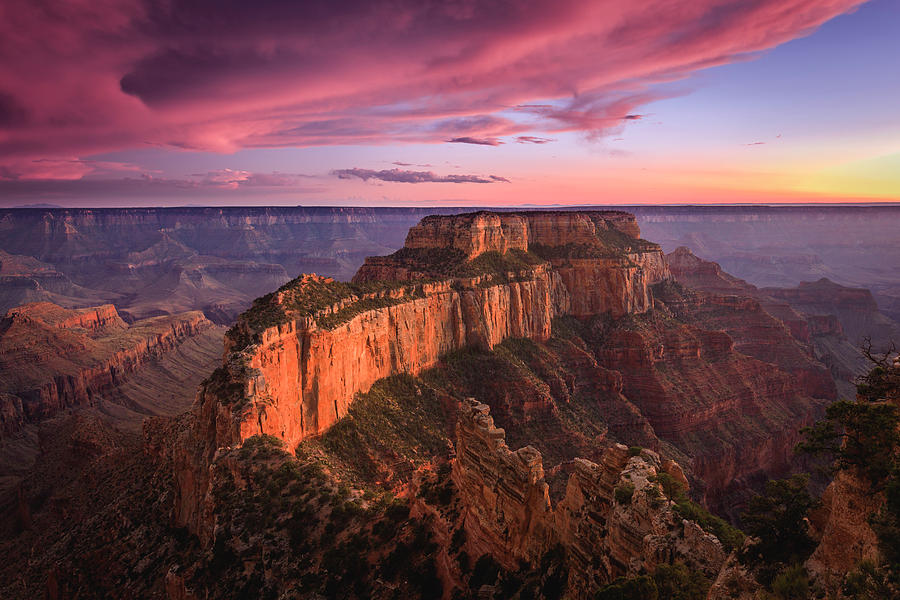 Grand Canyon National Park Photograph - Cape Royal Golden Sunset by Wasatch Light