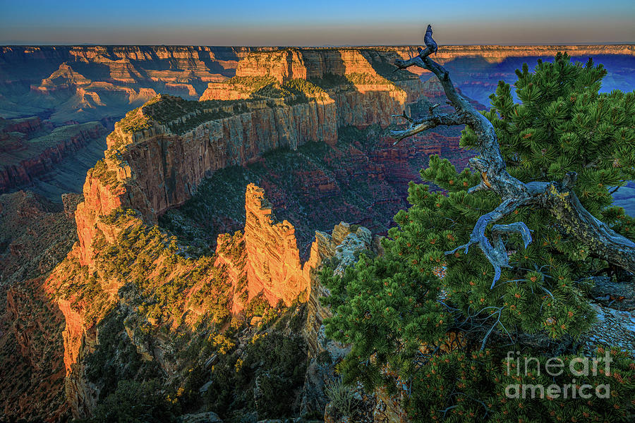 Grand Canyon National Park Photograph - Cape Royal Sunrise by Inge Johnsson
