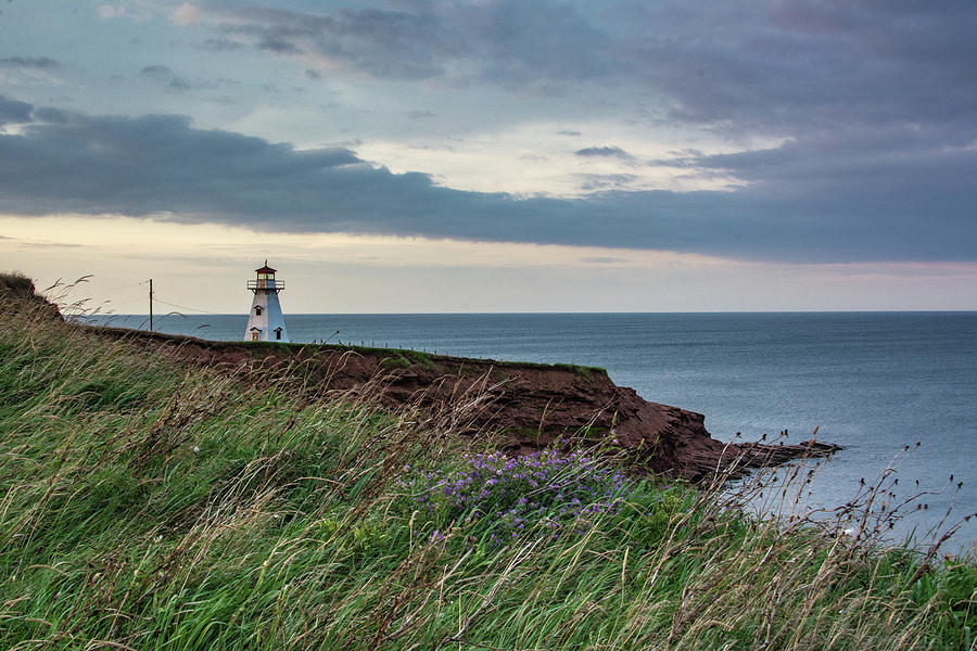 Cape Tryon Cliffs and Lighthouse Photograph by Douglas Wielfaert