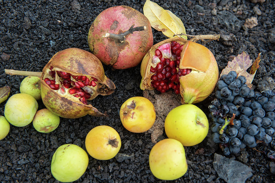 Cape Verde Island Fogo Nationalpark Fogo Village Cha landscape Active Vulcano Lavafields Coffee Wineyards Wine farmers Working The Land