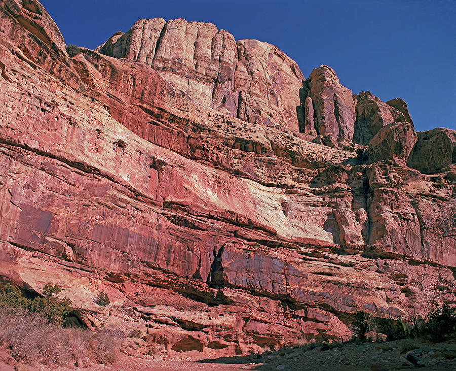 Capitol Reef Grand Wash #1 Photograph by Tom Daniel