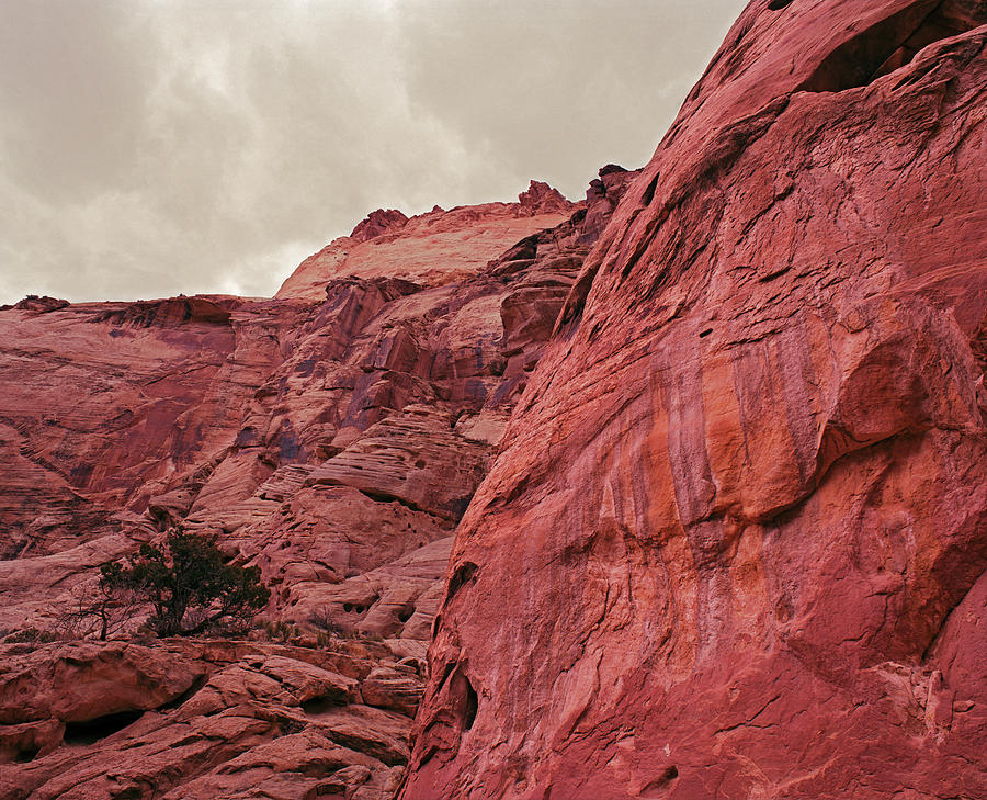 Capitol Reef Grand Wash #2 Photograph by Tom Daniel