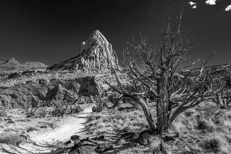Capitol Reef NP - But, Its a Dry Heat... Photograph by ProPeak Photography