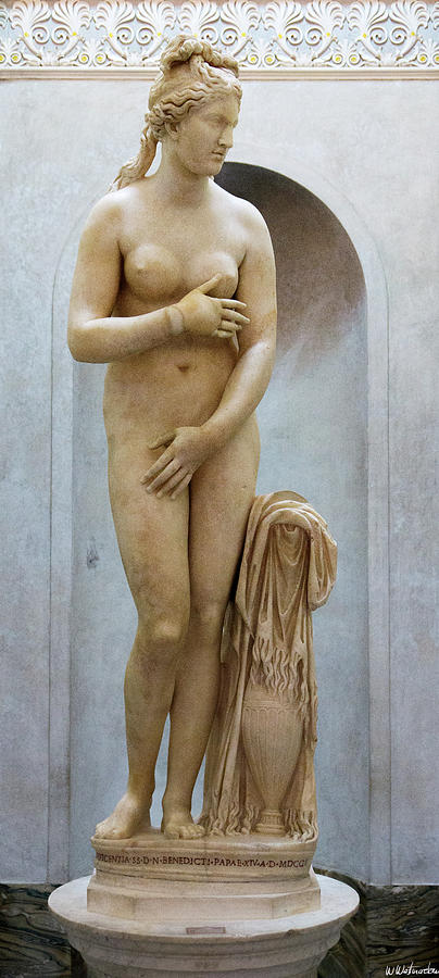 Capitoline Venus Photograph by Weston Westmoreland