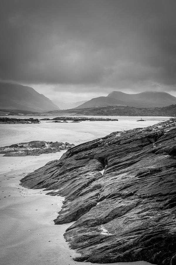 Cappagh Greys Photograph by Mark Callanan