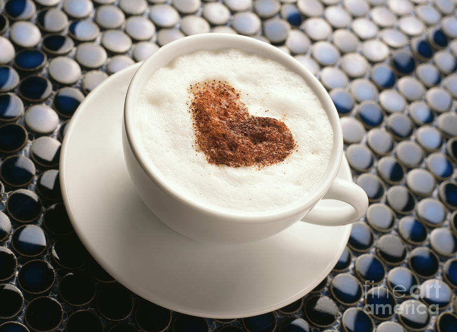 Cappuccino Photograph by Science Photo Library Cappuccino Photograph by Science Photo Library