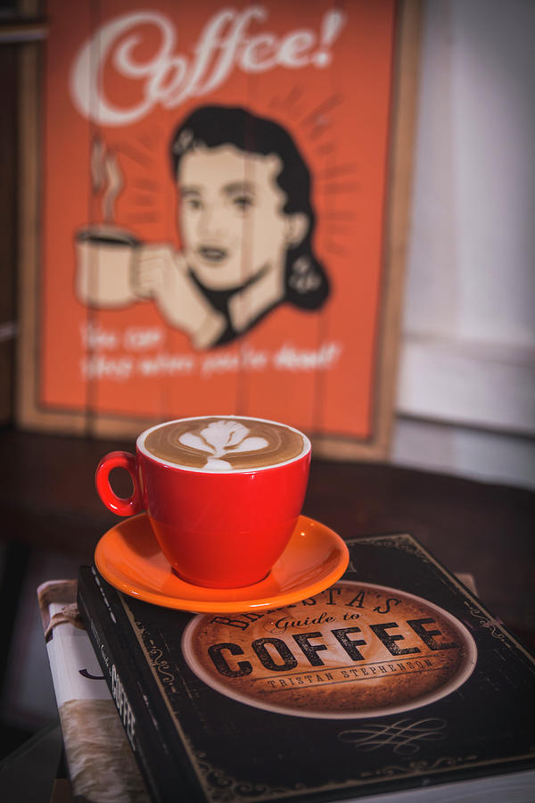 Cappuccino On A Coffee Book Photograph by Mel Boehme