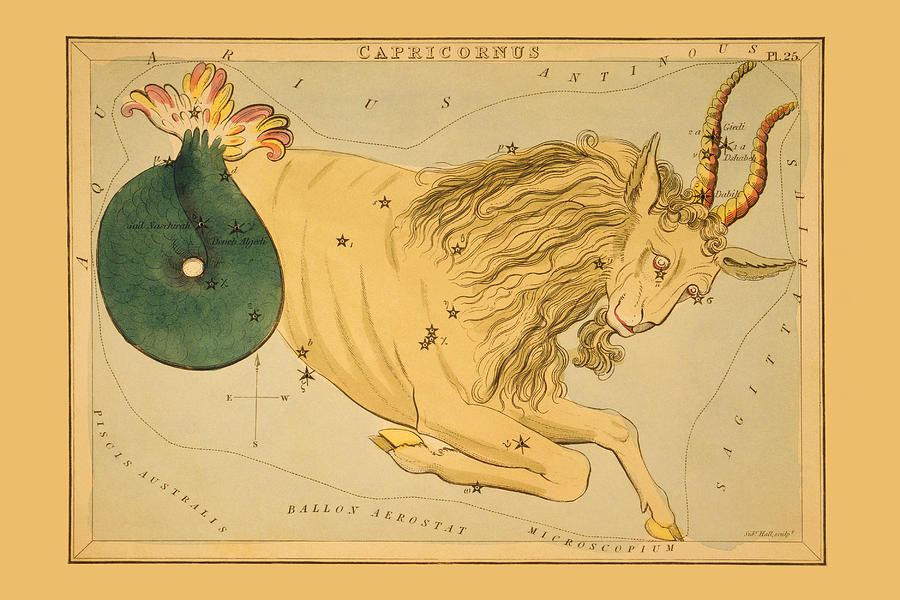 Greek Painting - Capricorn by Aspin Jehosaphat