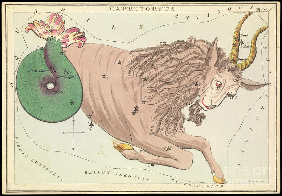 Capricornus, Circa 1825 Card, Paper, Tissue Mixed Media by Sydney Hall