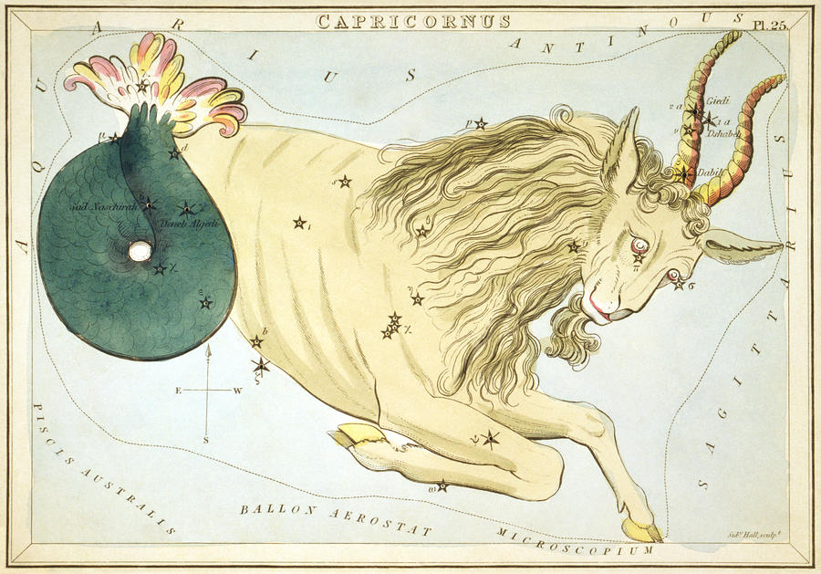 Capricornus Constellation Astrology Star Chart Zodiac Engraving by