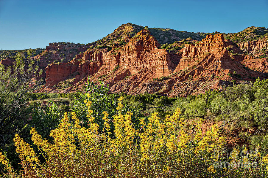 Caprock Canyons State Park Photograph