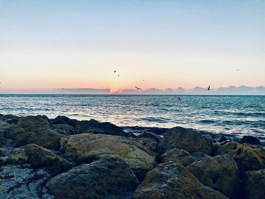 Captiva Island Florida Sunset on the Jetty Photograph by Shelly Tschupp