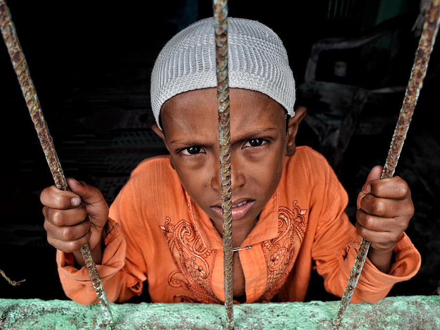 Captive Photograph by Sudipto Kumar Ghosh