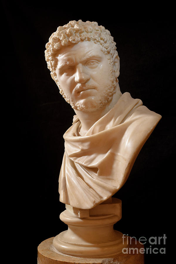 Still Life Photograph - Caracalla by Marco Ansaloni/science Photo Library