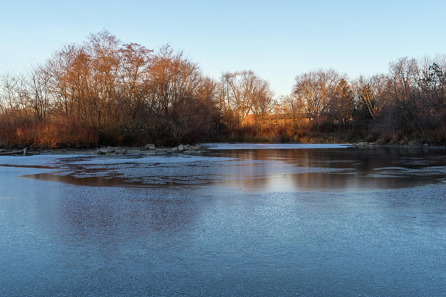 Caramel and Ice - Cool Reflections at a Frozen Pond Take One by Georgia Mizuleva Caramel and Ice - Cool Reflections at a Frozen Pond Take One by Georgia Mizuleva