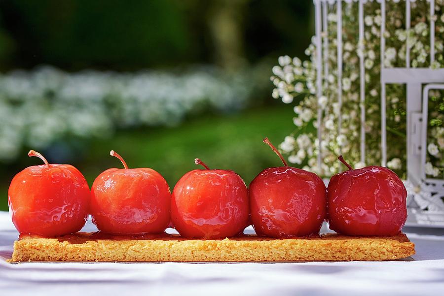 Caramel Apples In A Row On A Cake Base Photograph by Bernhard Winkelmann