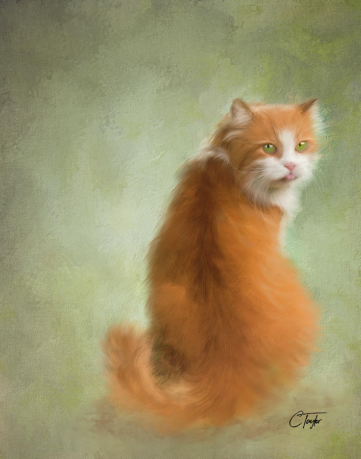 Caramel the Tabby Cat Painting by Colleen Taylor