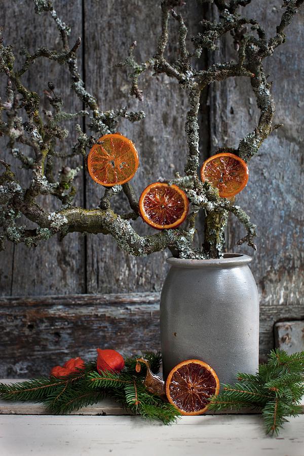 Caramelised Slices Of Blood Orange Hanging From Pear Tree Branches In Stoneware Pot Photograph by Sabine Lscher