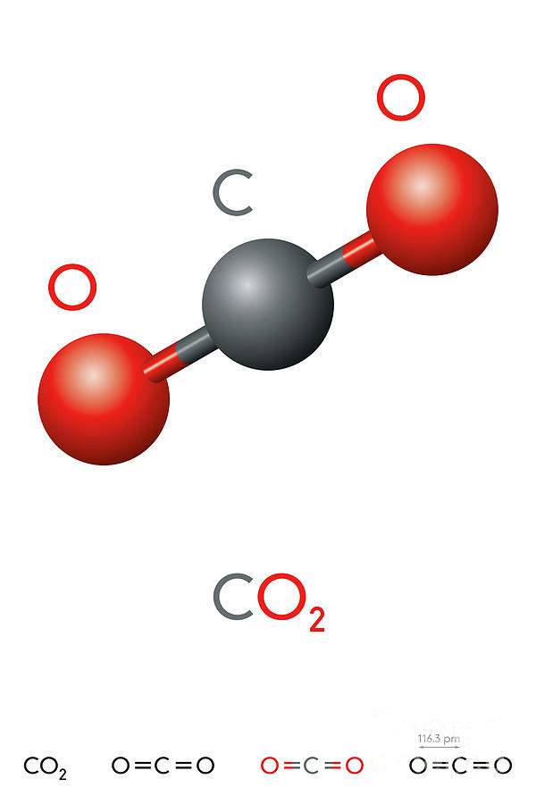 Carbon dioxide, CO2, molecule model and chemical formula Digital Art by