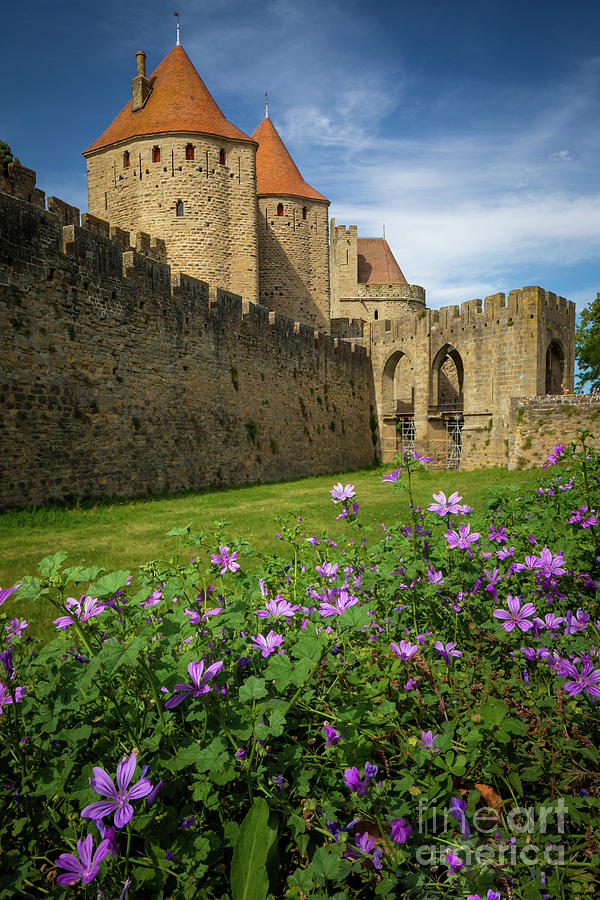 Castle Photograph - Carcassonne Wildflowers by Inge Johnsson