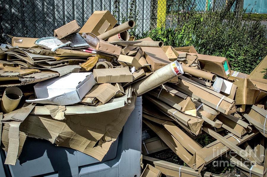 Cardboard Waste Photograph by Robert Brook/science Photo Library