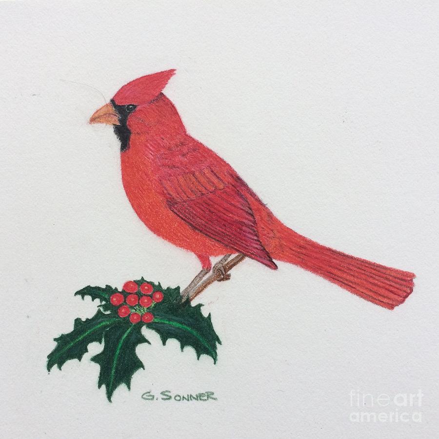 Cardinal Drawing by George Sonner