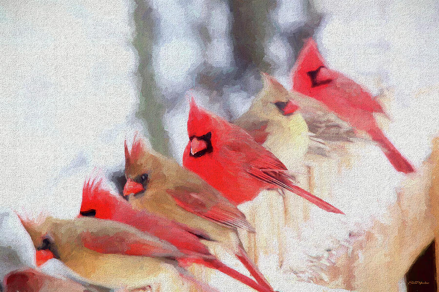 Bird Painting - Cardinal in a Line 2809 - Painted by Ericamaxine Price