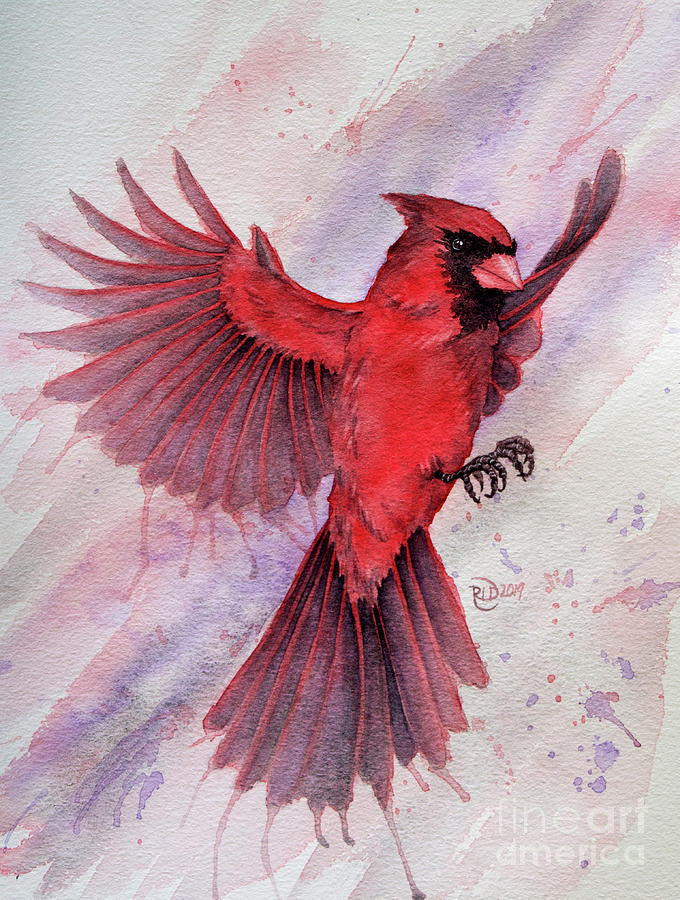 Cardinal in Flight Painting by Rebecca Davis