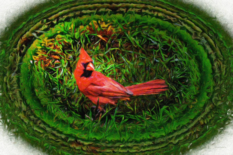 Cardinal in Light Grass Photograph by Diane Lindon Coy