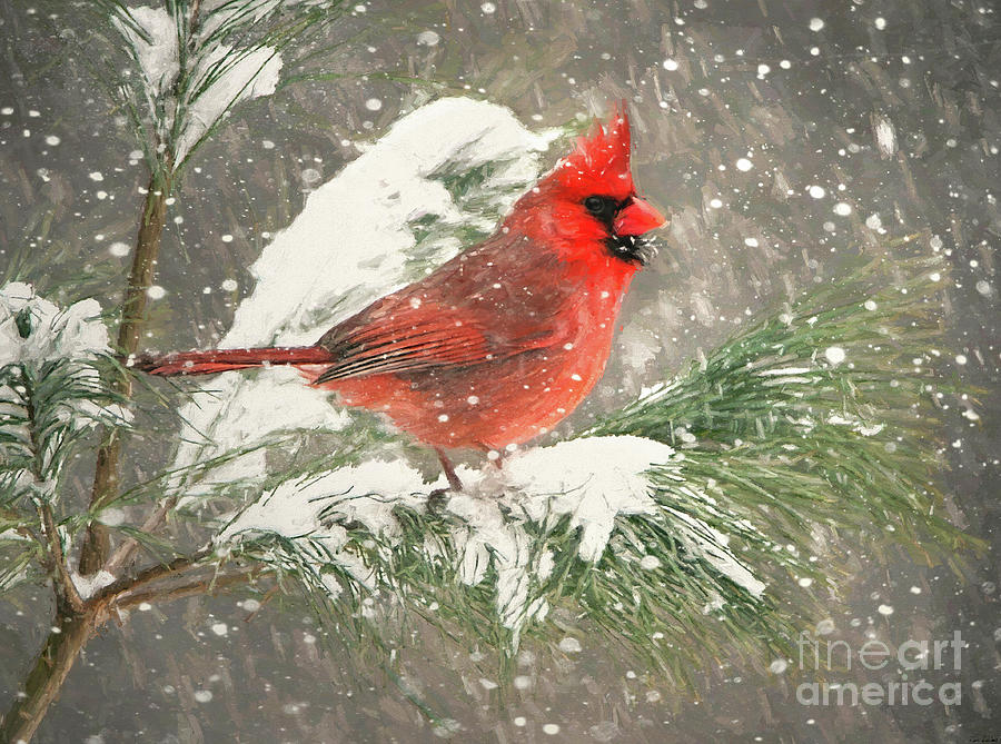Cardinal In The Snow Painting by Tina LeCour