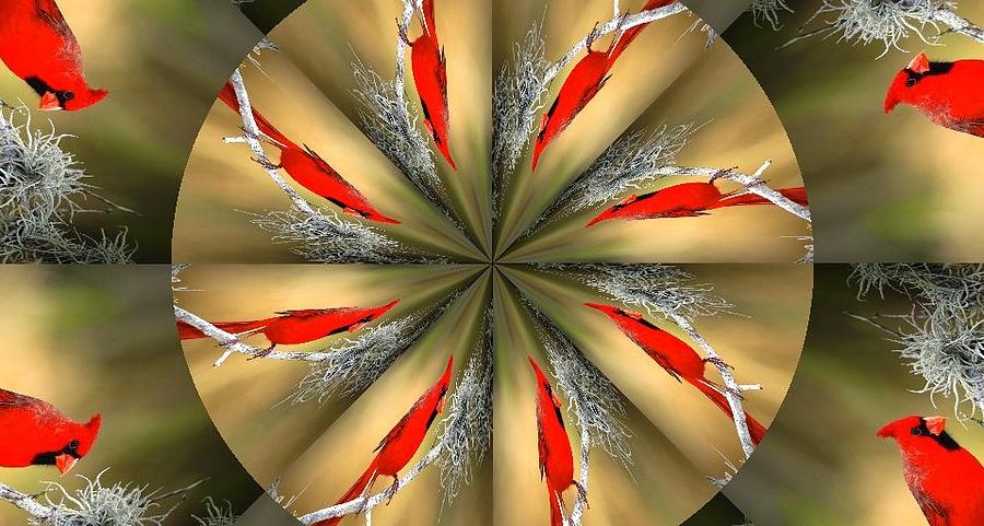 Cardinal Trance Digital Art by Ee Photography