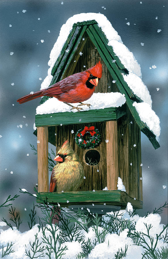 cardinal nesting box plans
