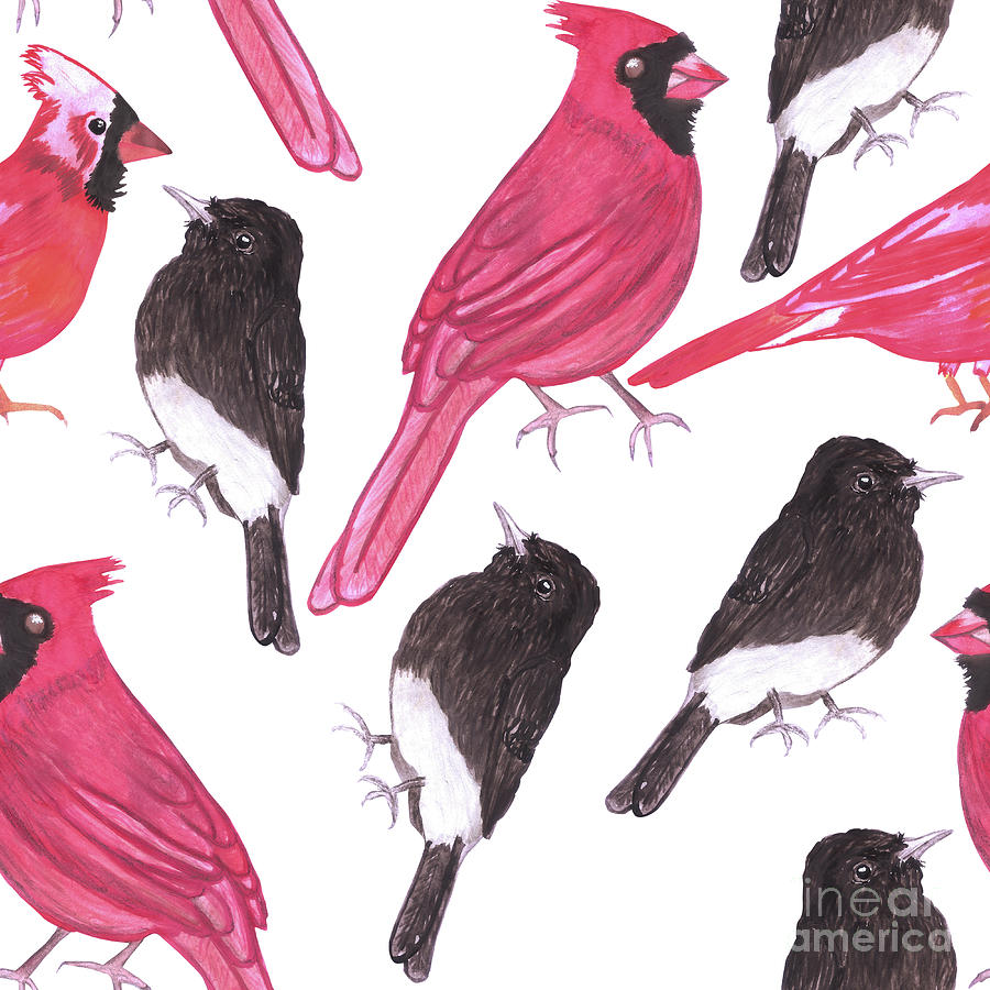 Download Cardinals and black phoebe watercolor birds Digital Art by ...