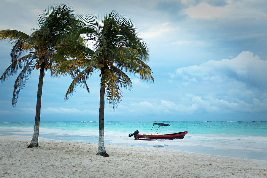 Caribbean Beach With Palm Tree And Photograph by Yinyang