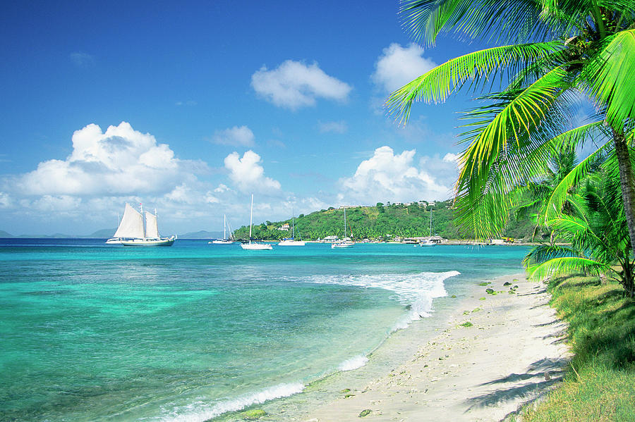Caribbean, Grenadines, Britannia Bay Photograph by Medioimages/photodisc