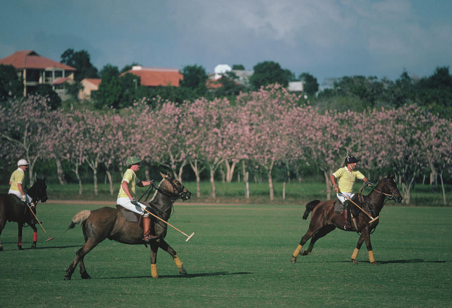 Caribbean Polo Match Photograph by Slim Aarons