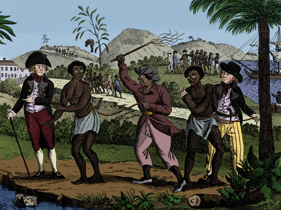 Caribbean Slave Trade, 18th Century Photograph by Science Source
