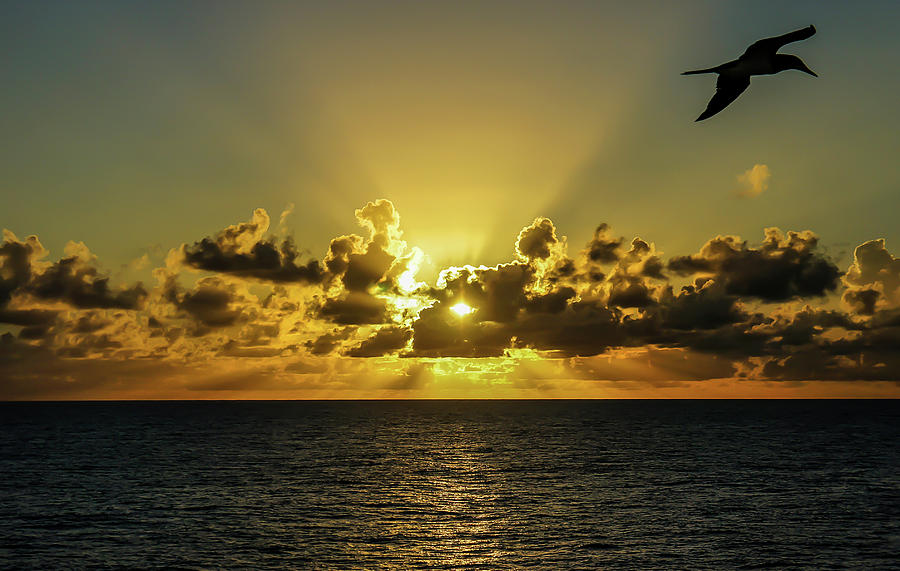 Caribbean Sunset Photograph by Dawn Richards