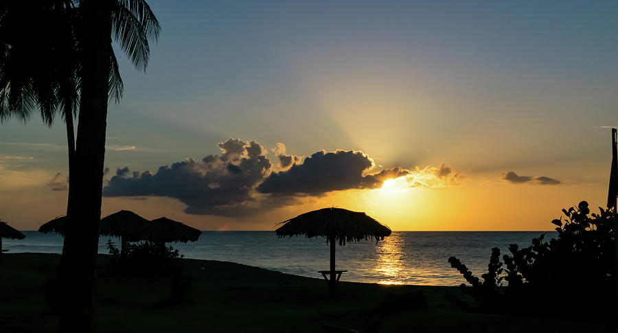 Caribbean Sunset  on Tobago Photograph by Liz Albro