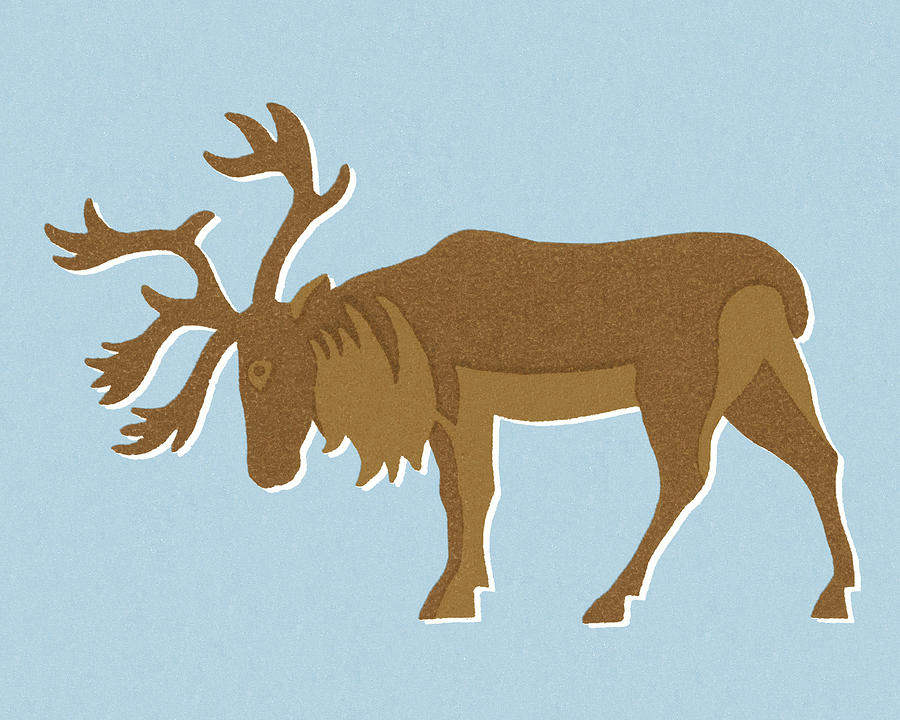 Vintage Drawing - Caribou by CSA Images