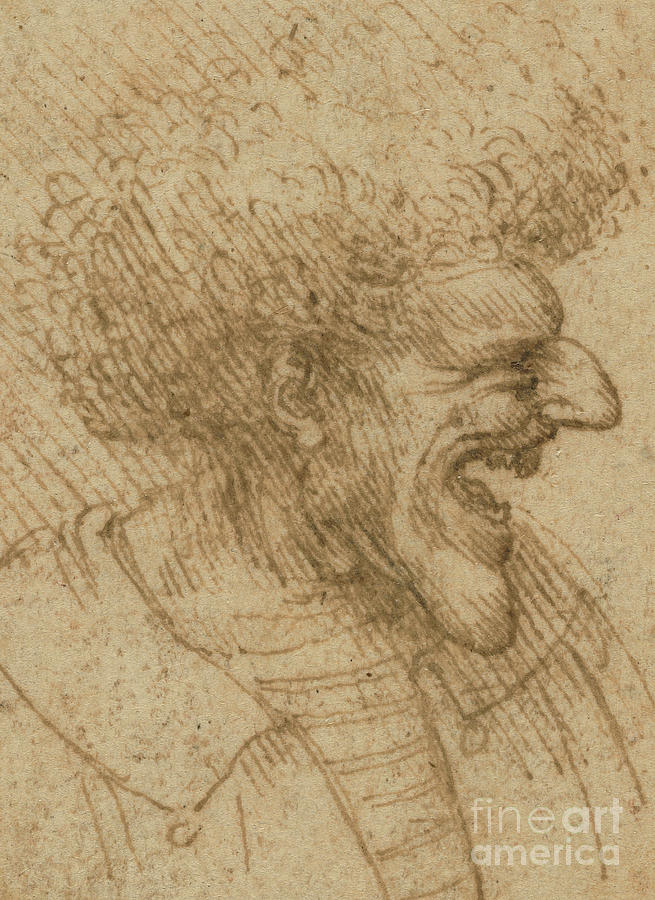 Leonardo Da Vinci Drawing - Caricature of a Man with Bushy Hair by Leonardo Da Vinci